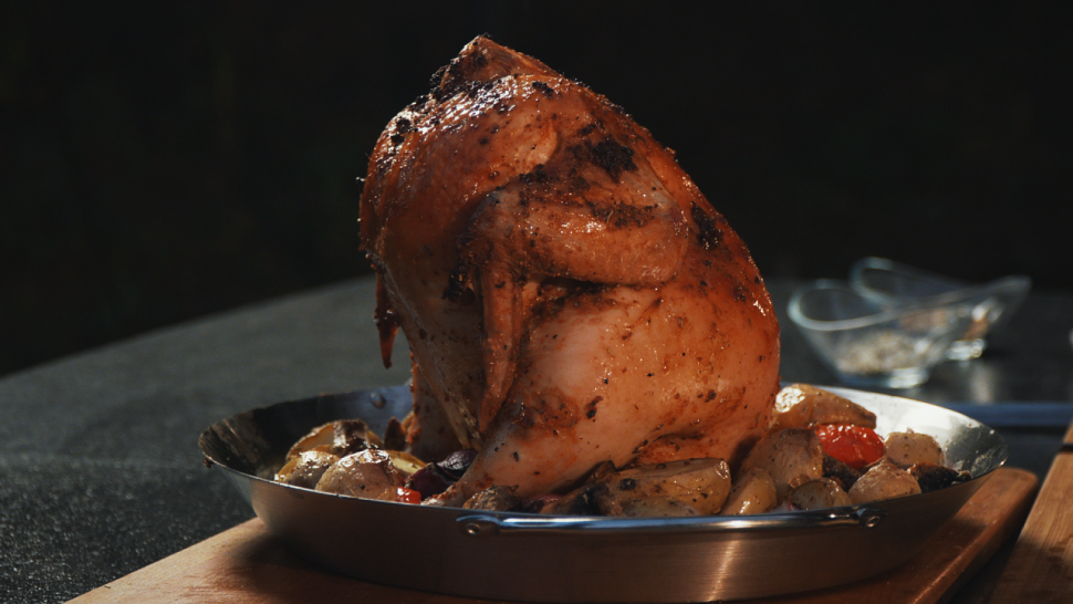 Ростер для курицы PRIMELINER