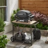 Купить Купить Газовый гриль Weber Q 2100N