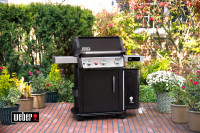 Гриль газовый Spirit EPX-325S GBS Smart, черный, 46713575