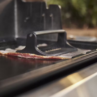 Пресс чугунный