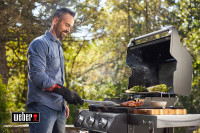 Гриль газовый Spirit E-315 GBS, черный, 46512275