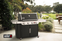 Гриль газовый WEBER Genesis E-435, черный