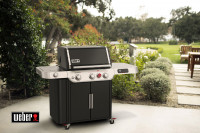 Гриль газовый Genesis EХ-335, черный
