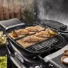 Купить Купить Газовый портативный гриль Weber Q 2800N+